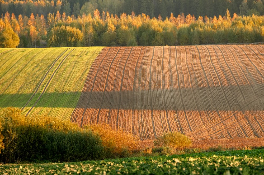 Photograph by Ольга Максимова