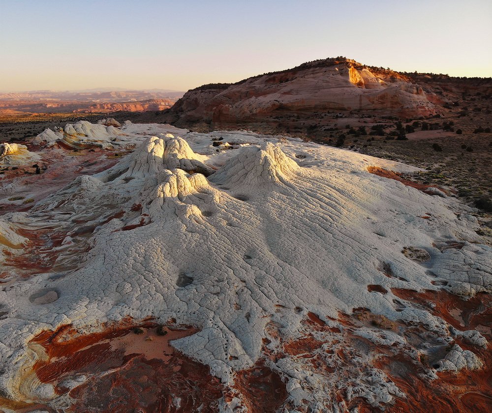 Photograph by Lana Anferow