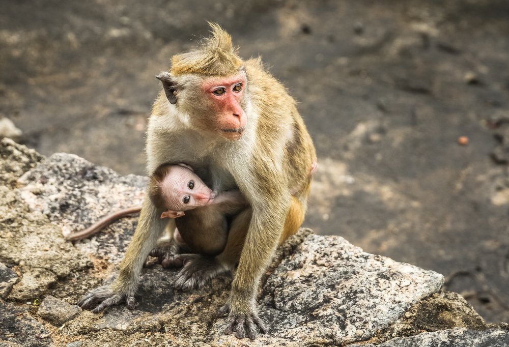 Photograph by Chaitra Arjunpuri