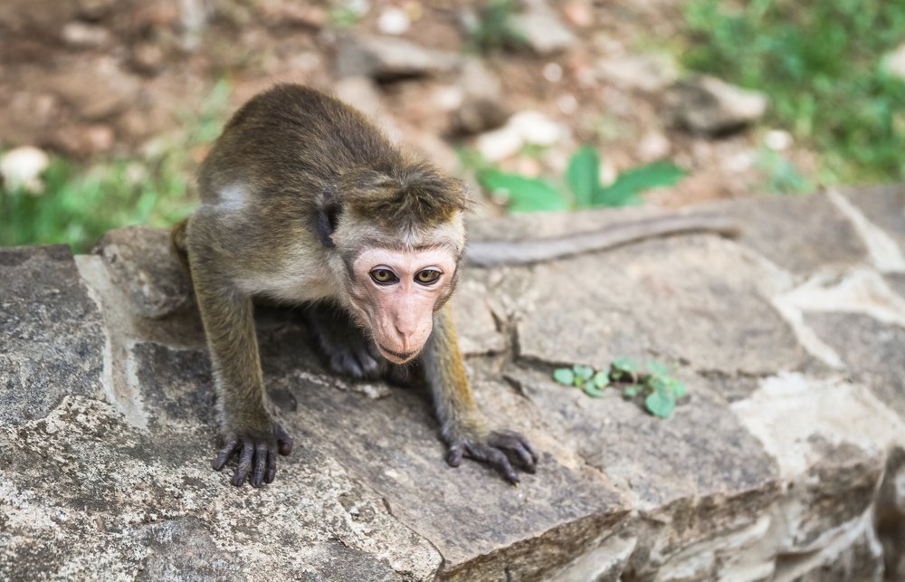 Photograph by Chaitra Arjunpuri