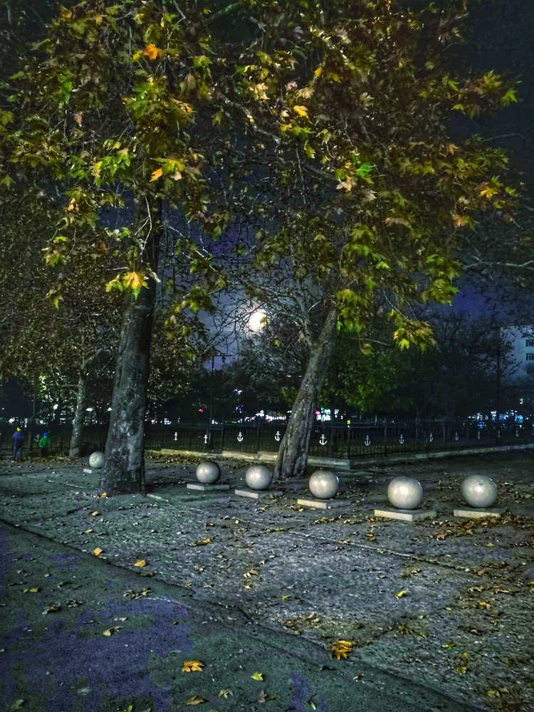 Photograph by Виктория Федосеенко