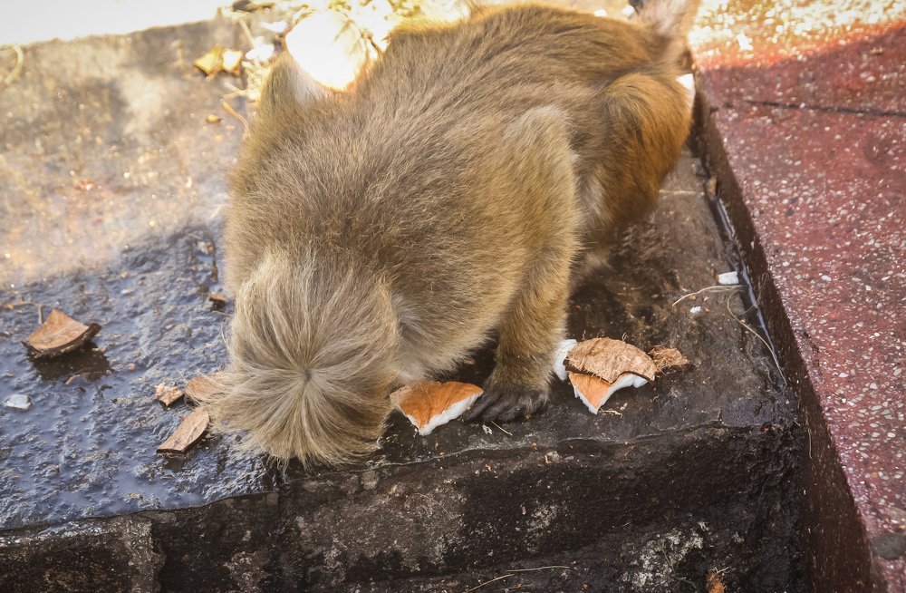 Photograph by Chaitra Arjunpuri