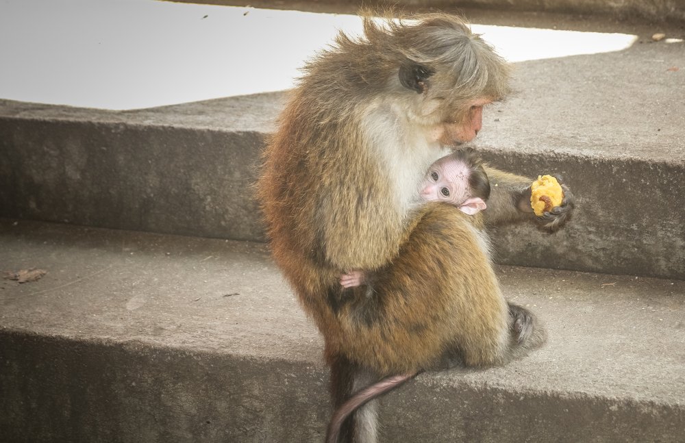 Photograph by Chaitra Arjunpuri