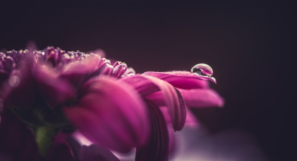 Photograph by Мешков Игорь