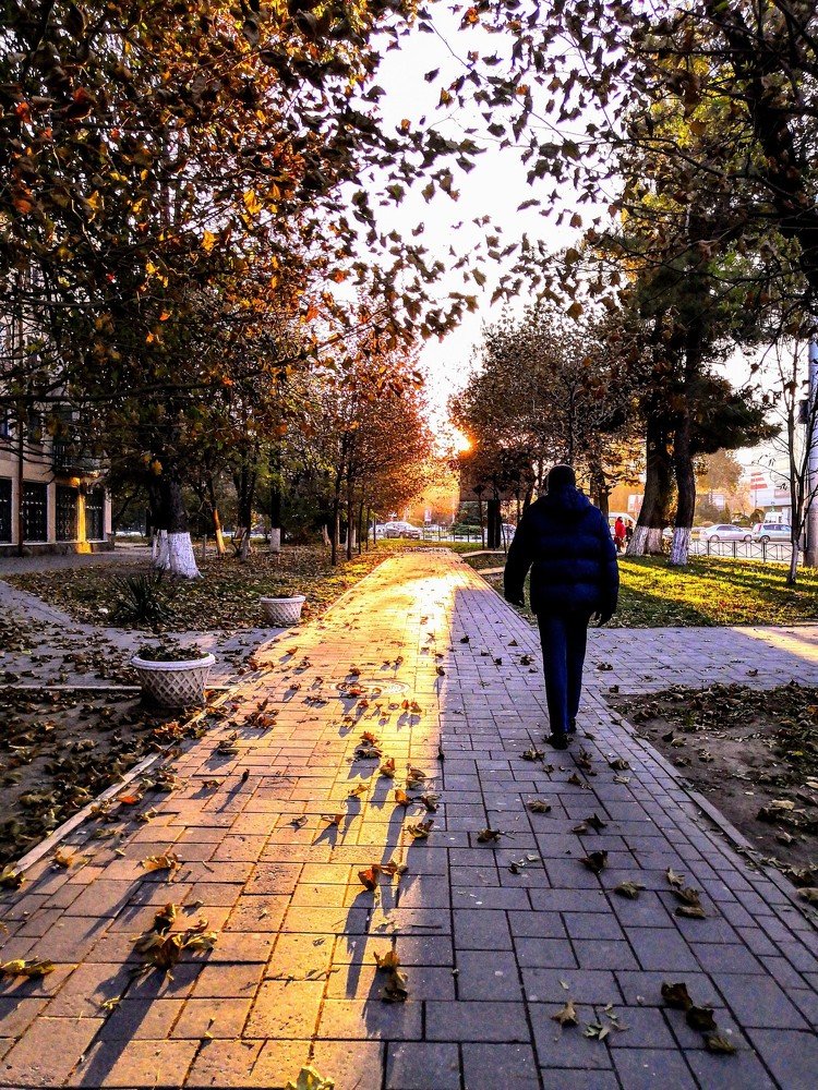 Photograph by Виктория Федосеенко