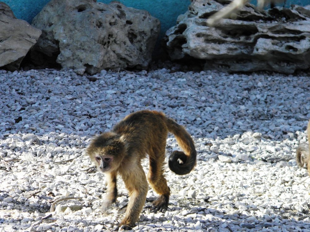 Photograph by Елена Коробкина