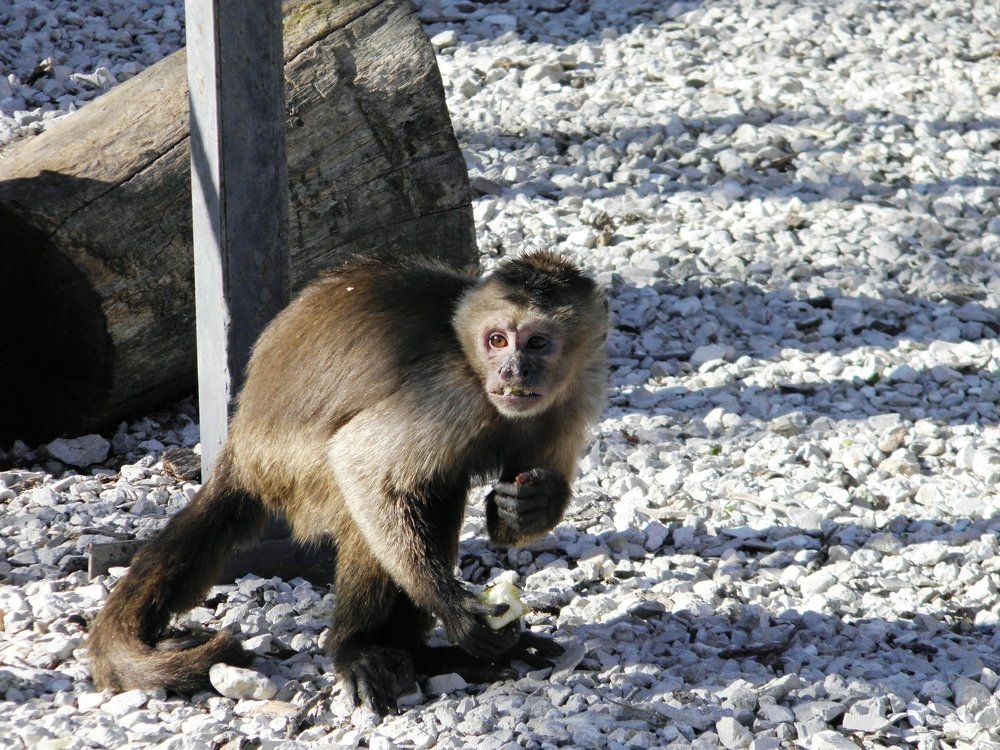 Photograph by Елена Коробкина