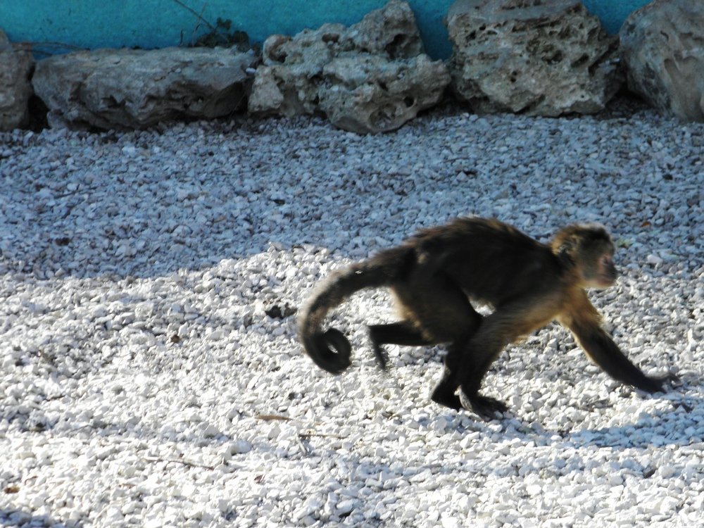 Photograph by Елена Коробкина