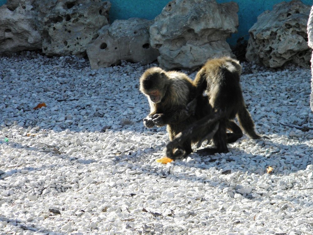 Photograph by Елена Коробкина