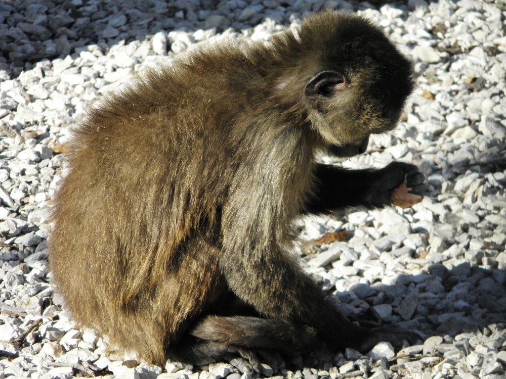 Photograph by Елена Коробкина