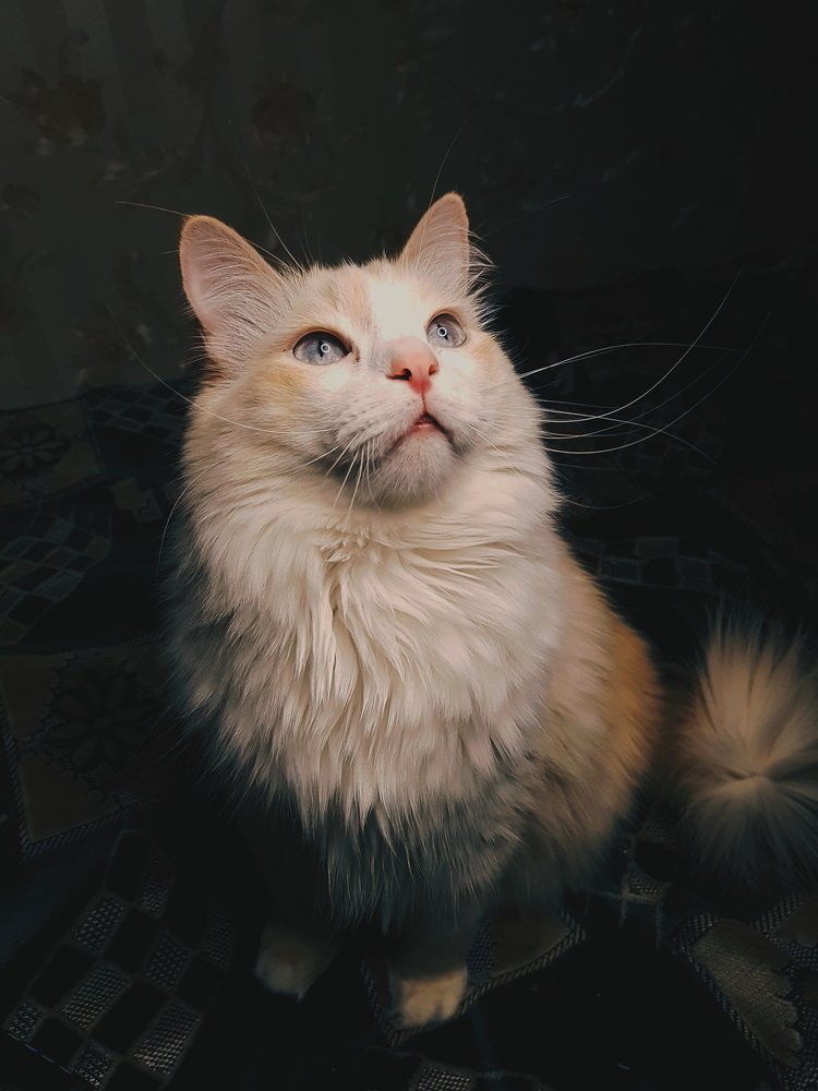 Photograph by Янина Рейфер