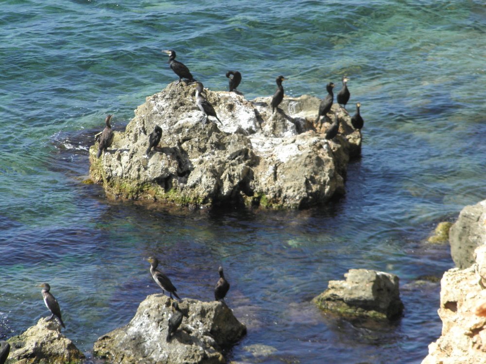 Photograph by Елена Коробкина