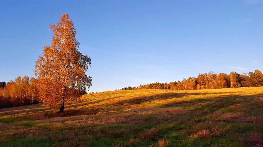 Photograph by Ольга Максимова