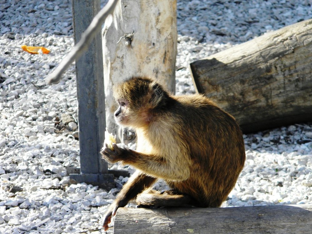 Photograph by Елена Коробкина