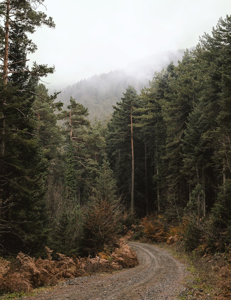 Photograph by Ersin Türk