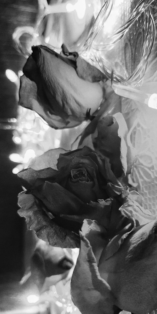 Photograph by Кристина