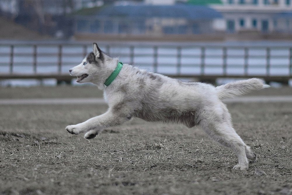 Фотография автора Мария Яропольская