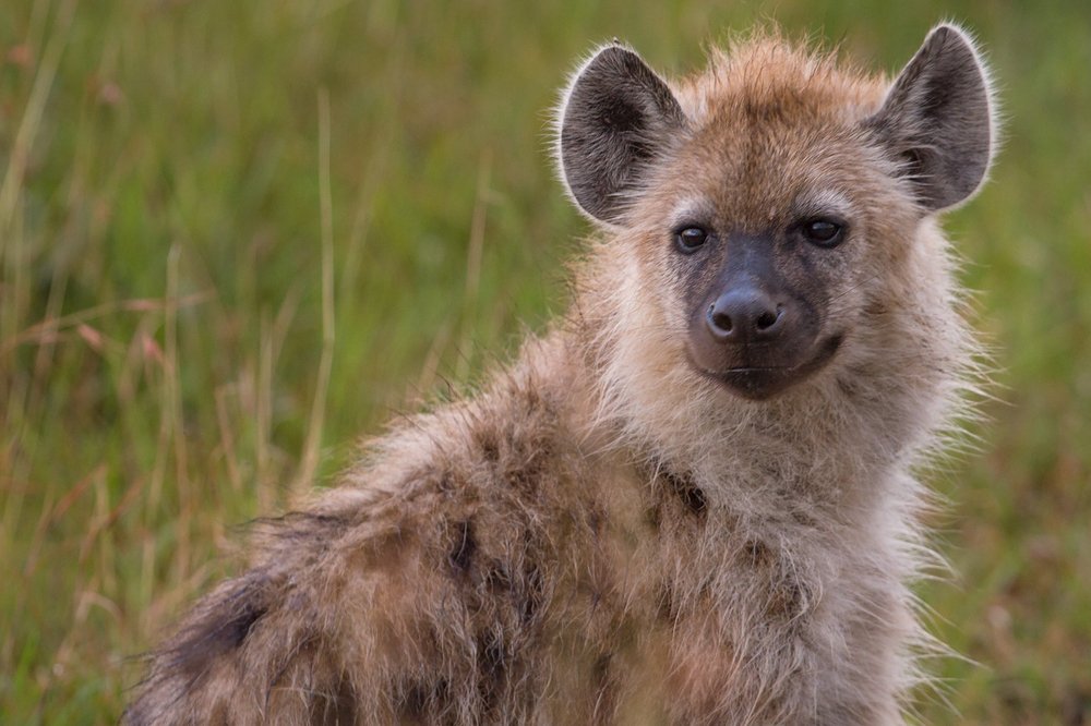 Photograph by Ольга Петруша