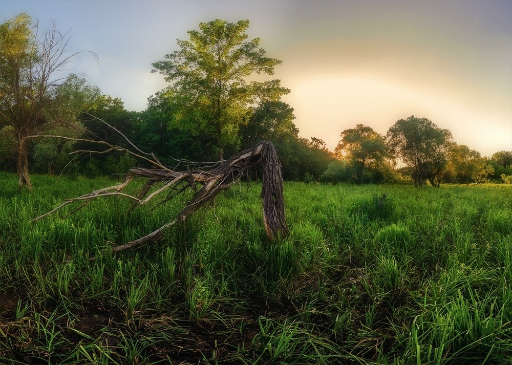 Photograph by Сергей Ковтуненко