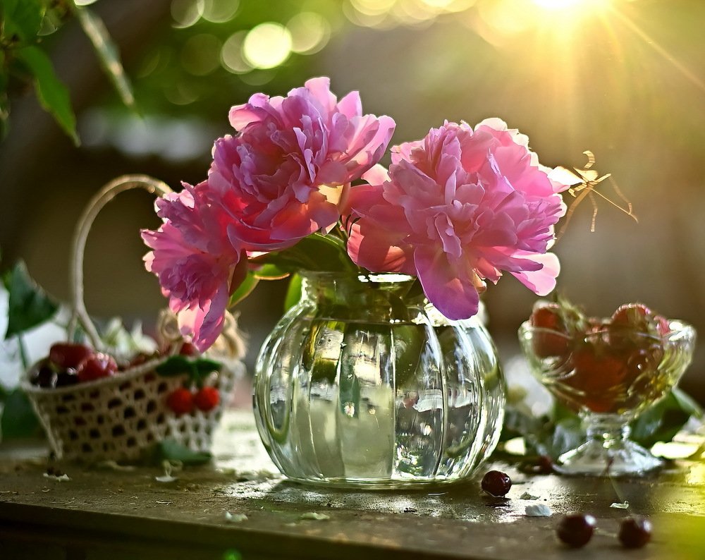 Солнечные пионы с солнечным комариком...