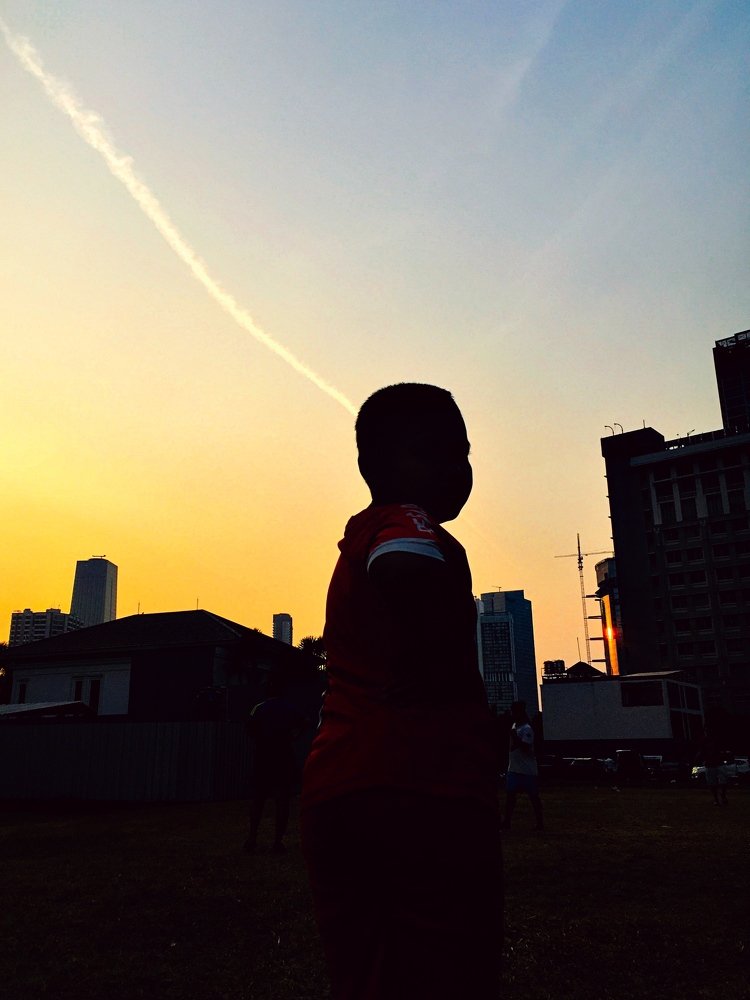 Photograph by Albert Williancoen