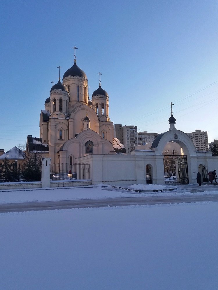 Photo #4196547