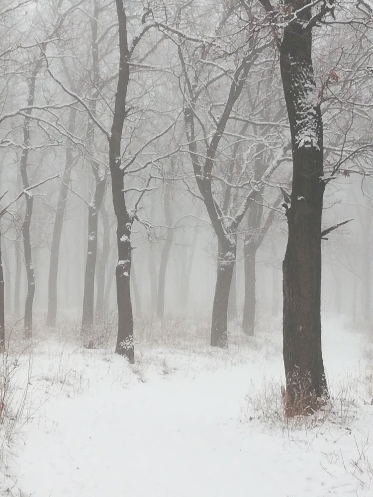 Photograph by Светлана