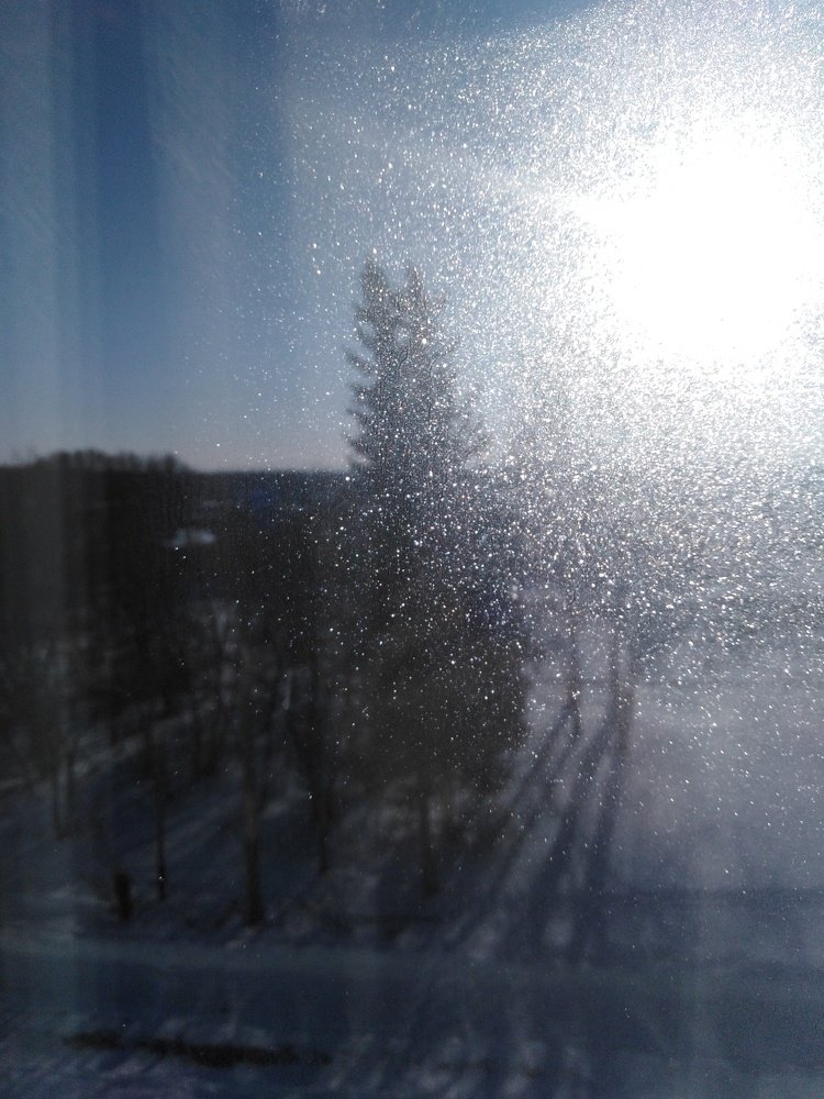 Photo #4196594