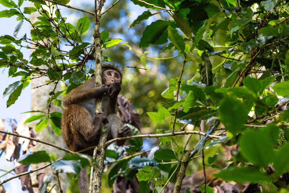 Photograph by Андрей