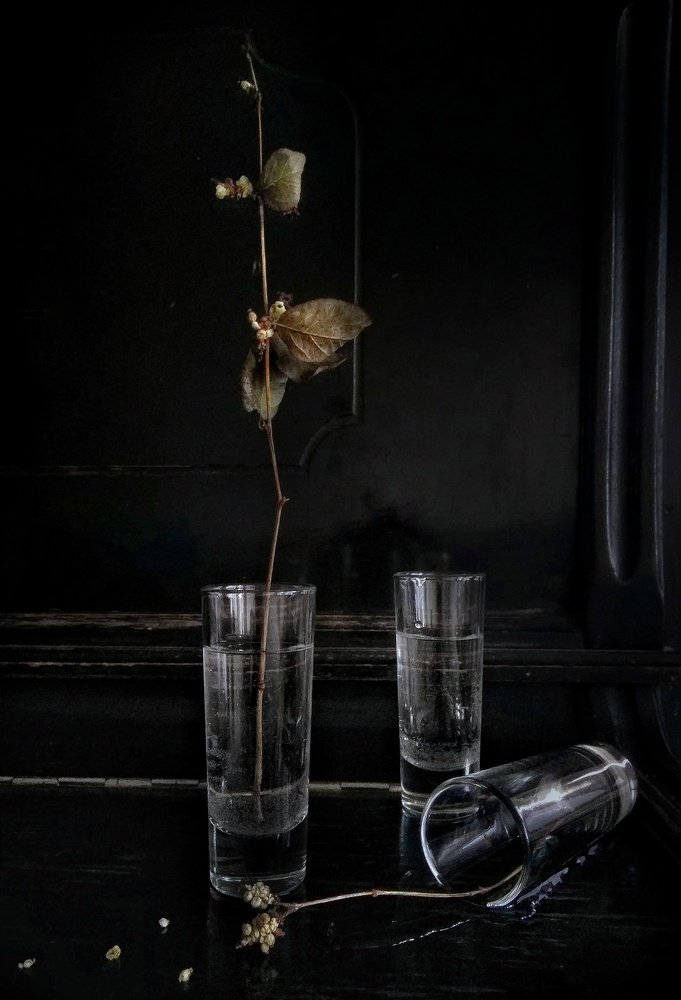 Photograph by Elena  Terentieva