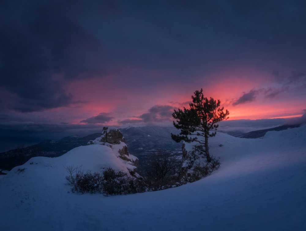 Photograph by Михаил Гапонов