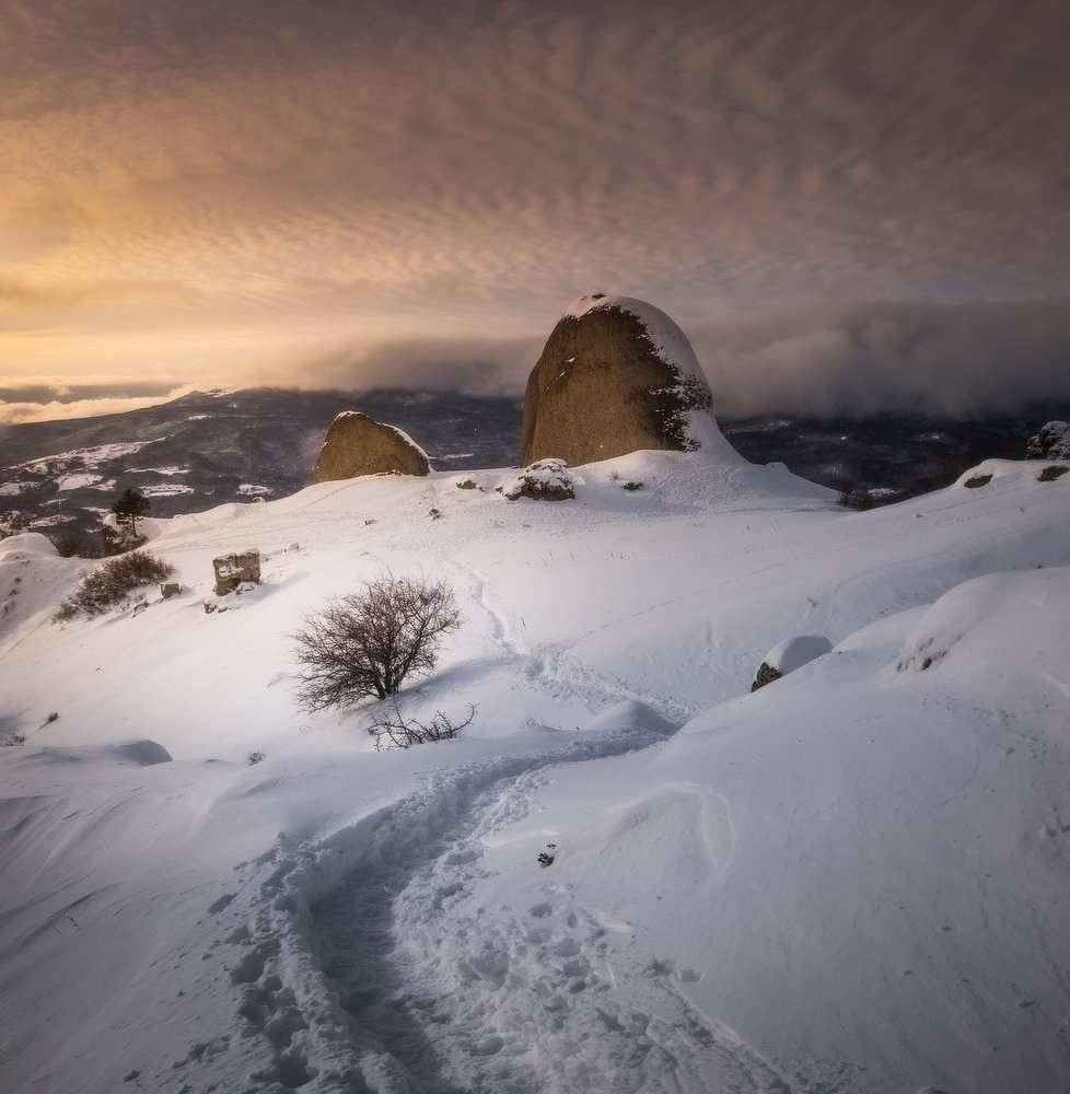 Photograph by Михаил Гапонов