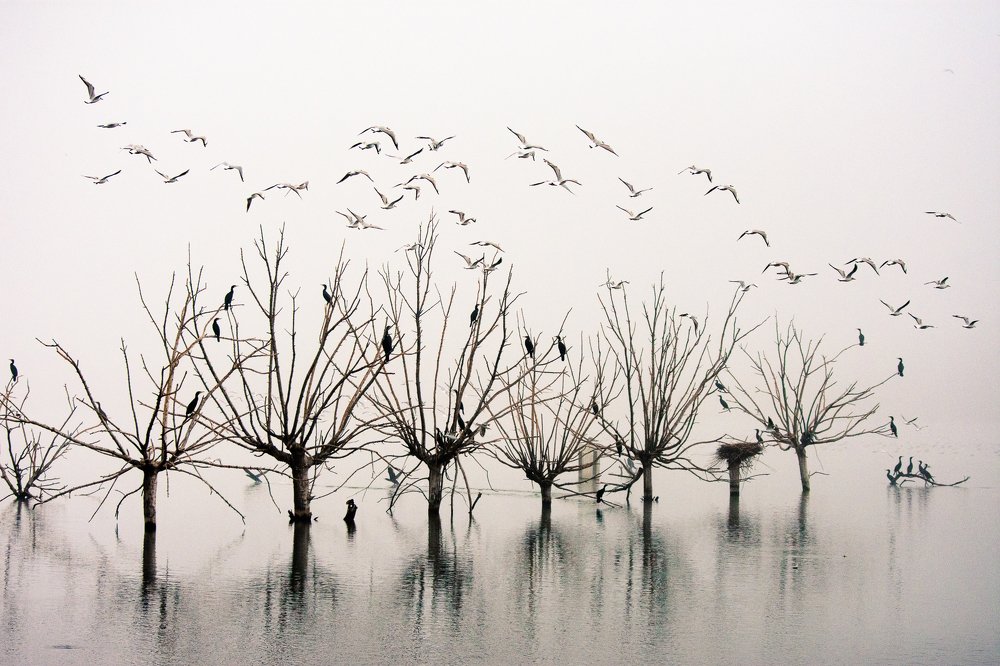 Photograph by Andres Pujades