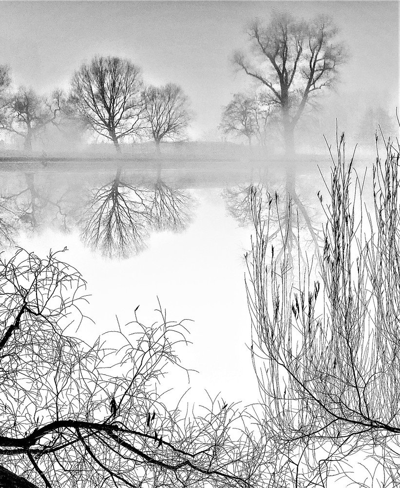 Photograph by Владимир Шнип