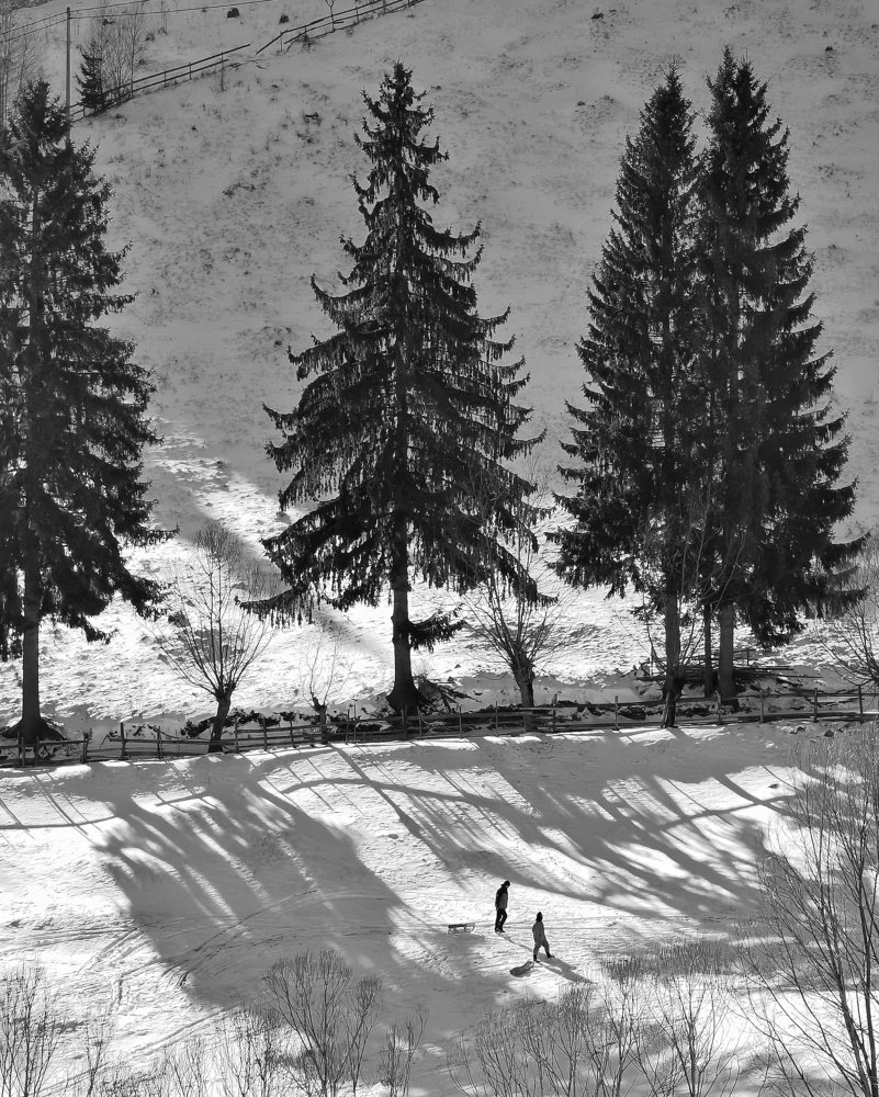 Photograph by Iulian Acris