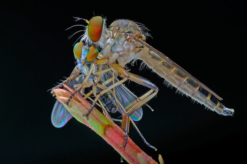 Photograph by KAIYEN LEE