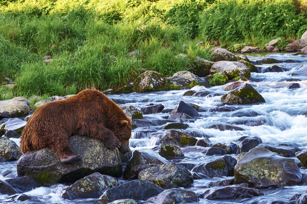 Отдых перед рыбалкой.
