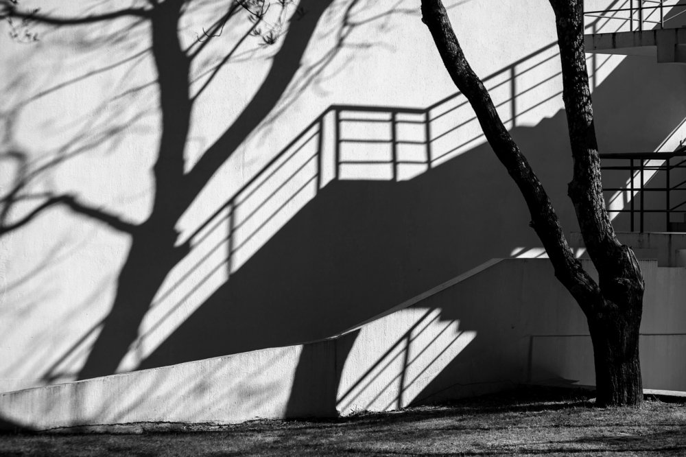 Photograph by Максим Малевич