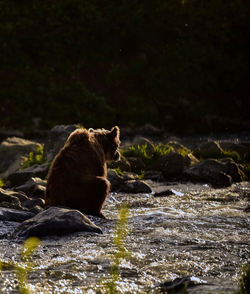 Photograph by Алексей Ознобихин