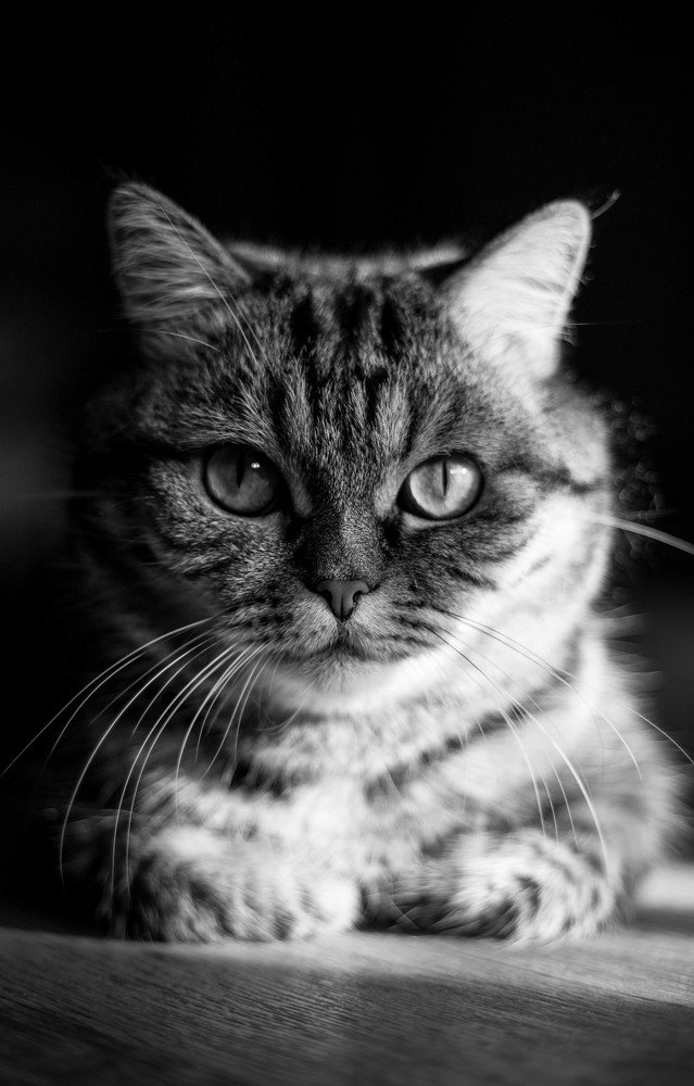 Photograph by Татьяна Таран