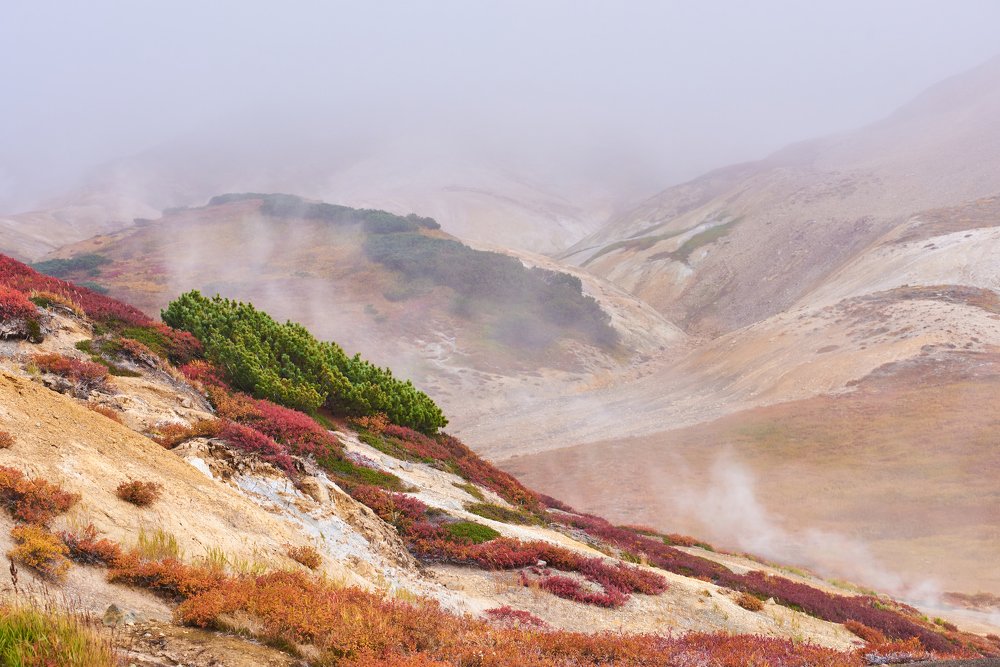 На склоне вулкана Большой Семячик.