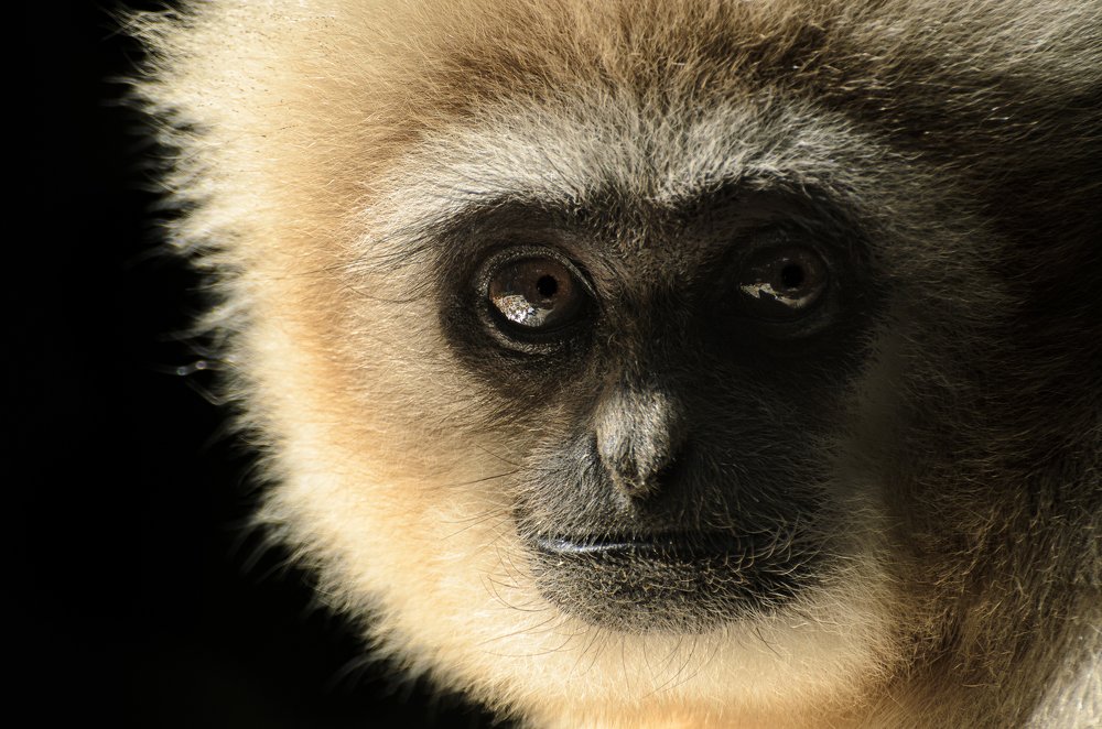 Photograph by Данил Луговой