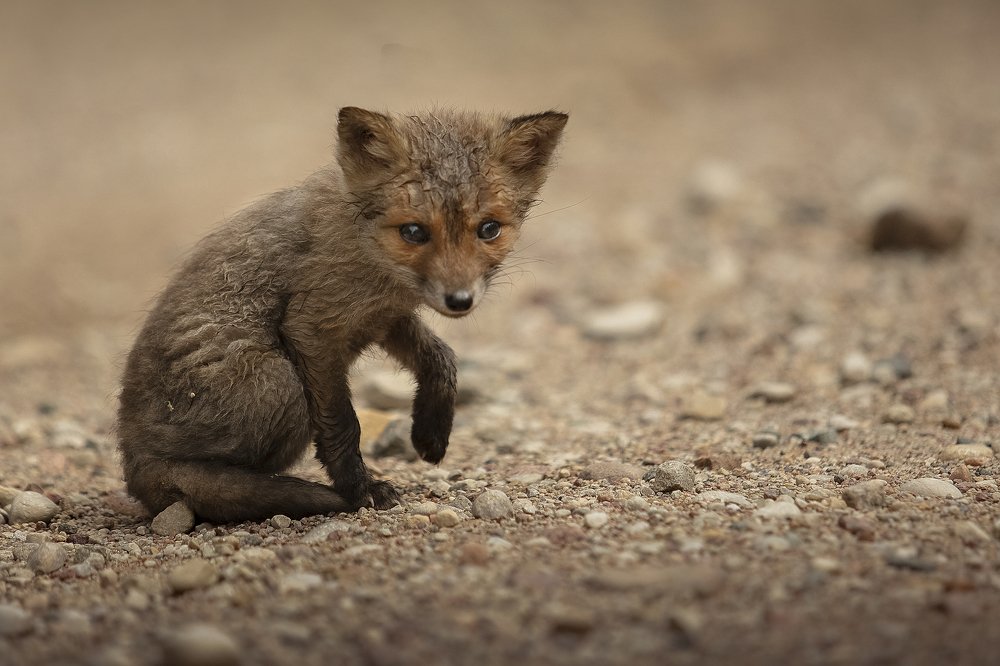 Photograph by Inguna Zvaigzne