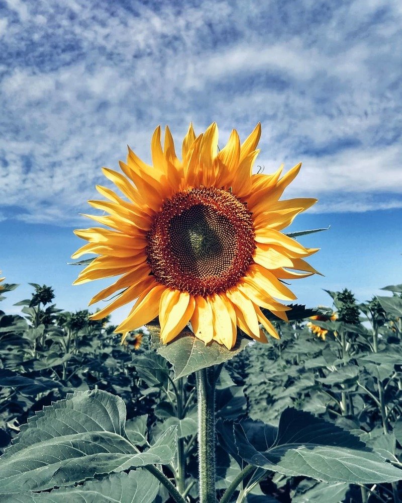 Photograph by Mаша Бакулина