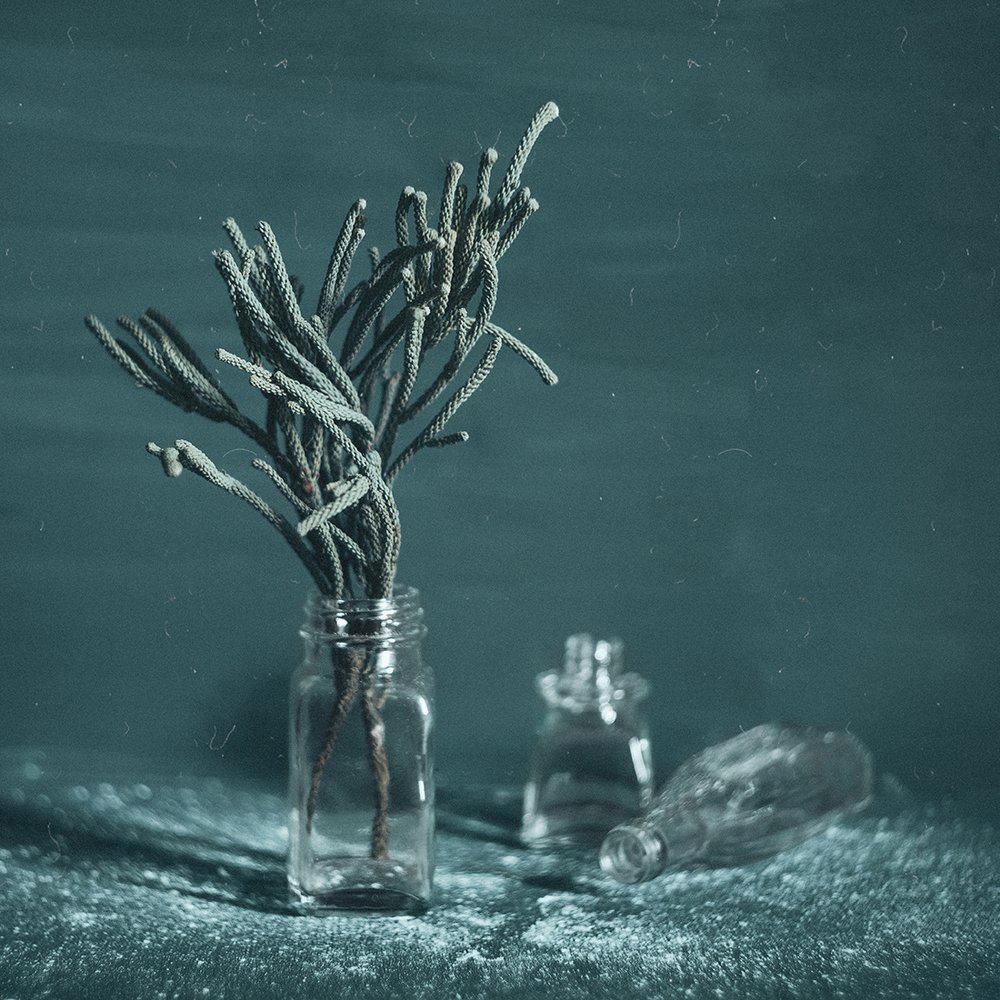 Photograph by MVO (Марк Орлов)