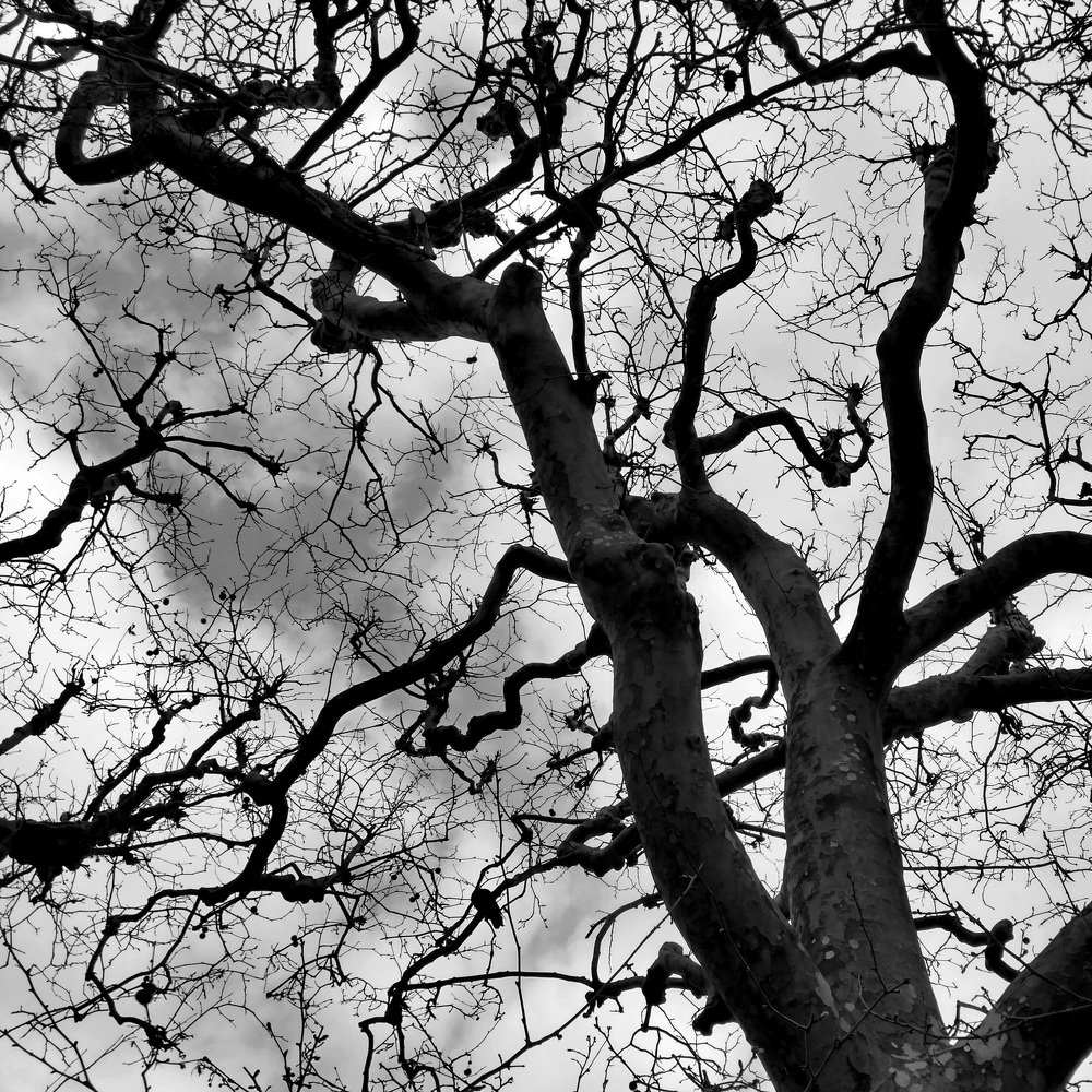 Photograph by Алексей Степаненко