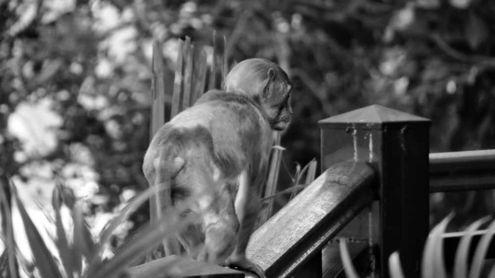 Photograph by Лия Самс