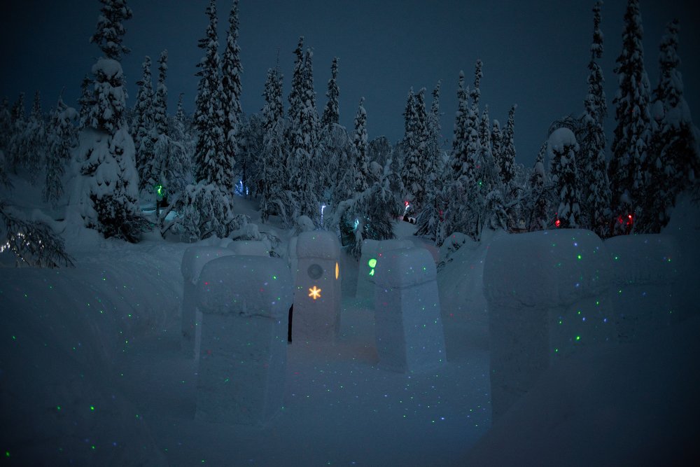 Таинственный лес