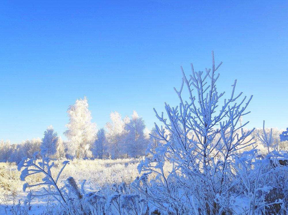 Зимний пейзаж