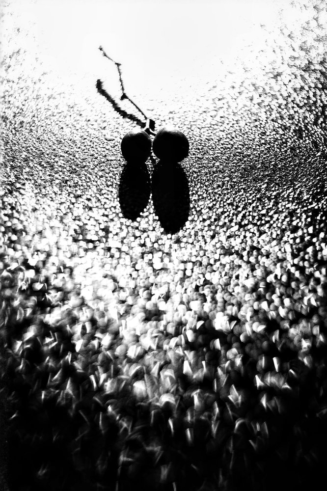 Photograph by Игорь Маслов